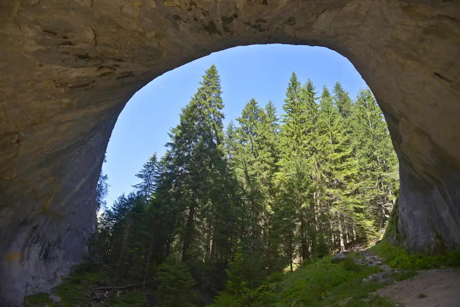 Photo "is hiking the donner pass train tunnel safe"