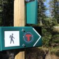 Photo "how to find accessible hiking trails"