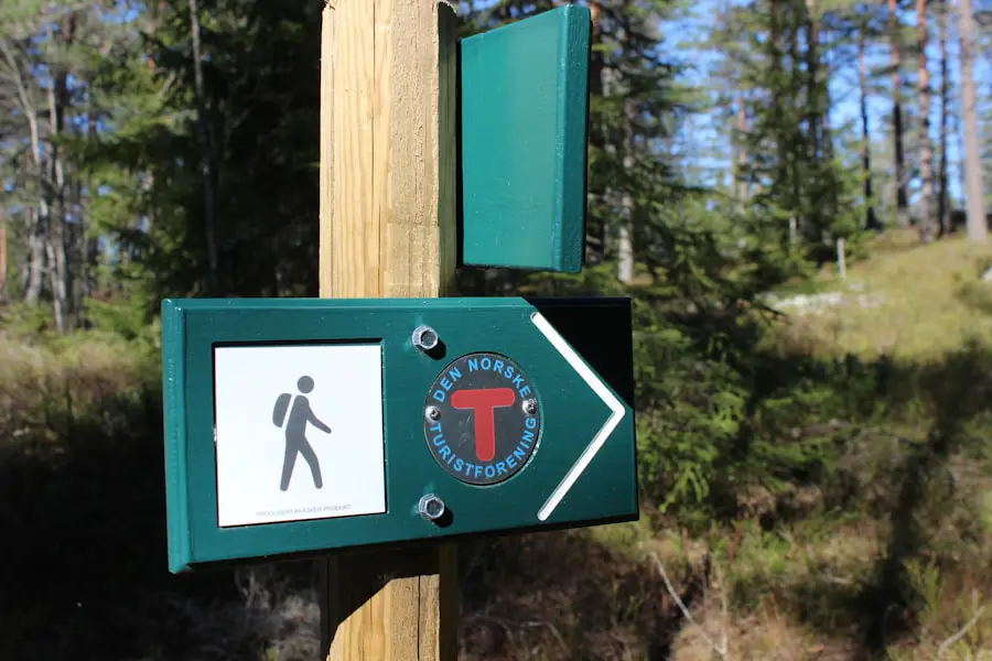 Photo "how to find accessible hiking trails"