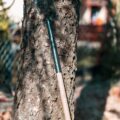 Photo "how to make a hiking stick"