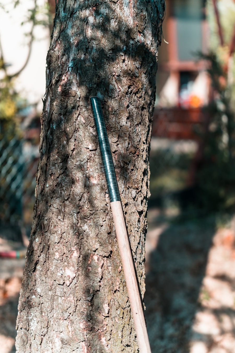 Photo "how to make a hiking stick"