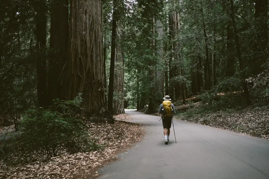 Photo "Which is safer hiking or bicycling for Parkinsons patients?"