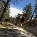 Photo "is hiking a sport"