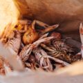 Photo "Does any good to-go hiking food contain shellfish?"