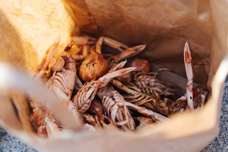 Photo "Does any good to-go hiking food contain shellfish?"