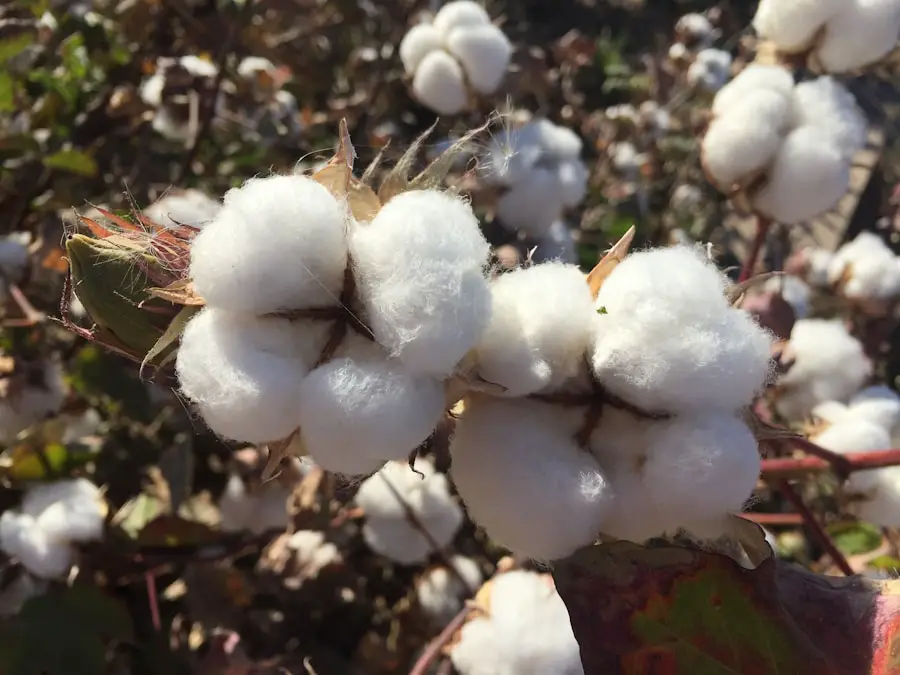 Photo "Cotton is bad for hiking because it retains moisture, dries slowly, and can lead to hypothermia in cold conditions"