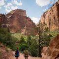 Photo What are the best hiking trails in Zion National Park?