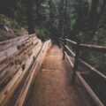 Photo where hiking