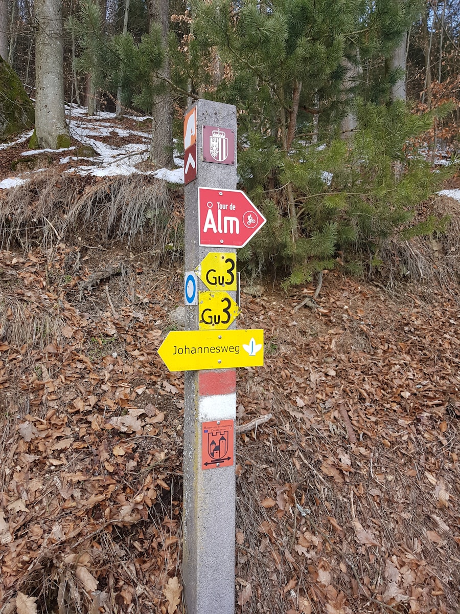 Photo "what hiking trails are open near me"