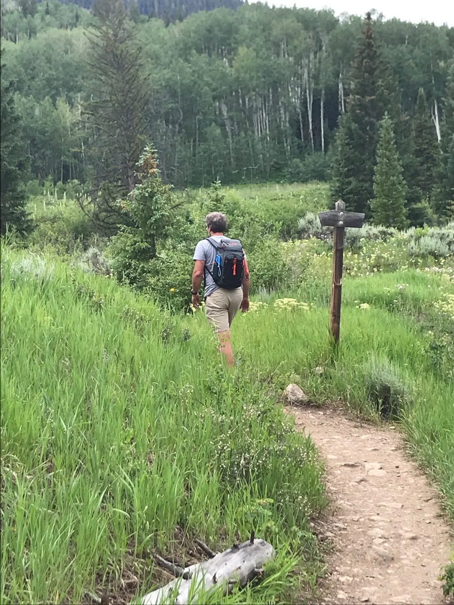 Photo "What does hiking mean?"