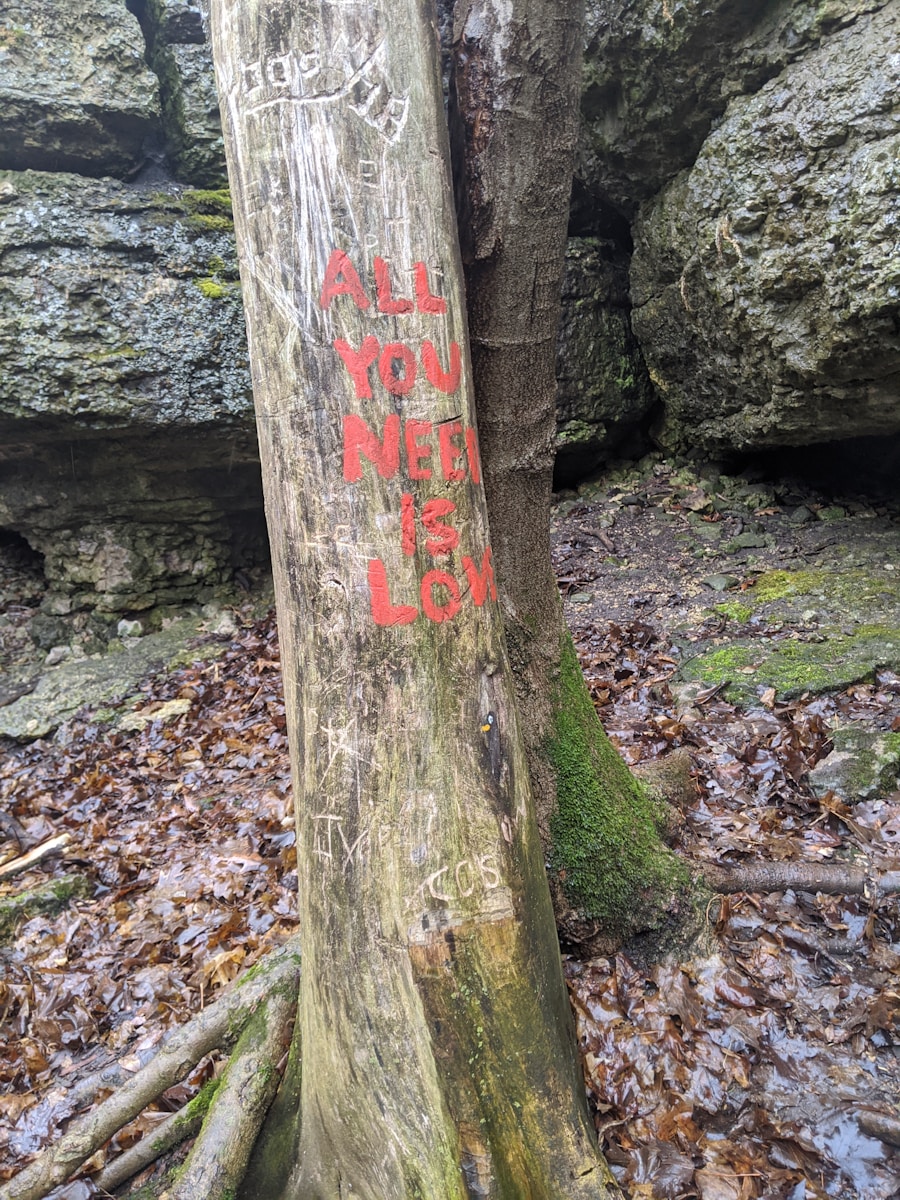 Photo "is hiking good for you"