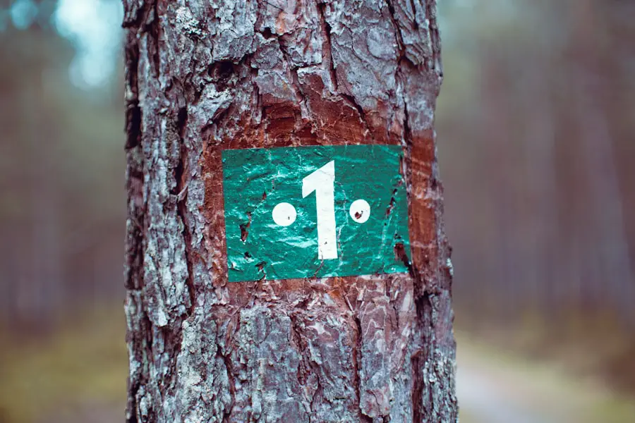 Photo "How long is the Superior Hiking Trail?"