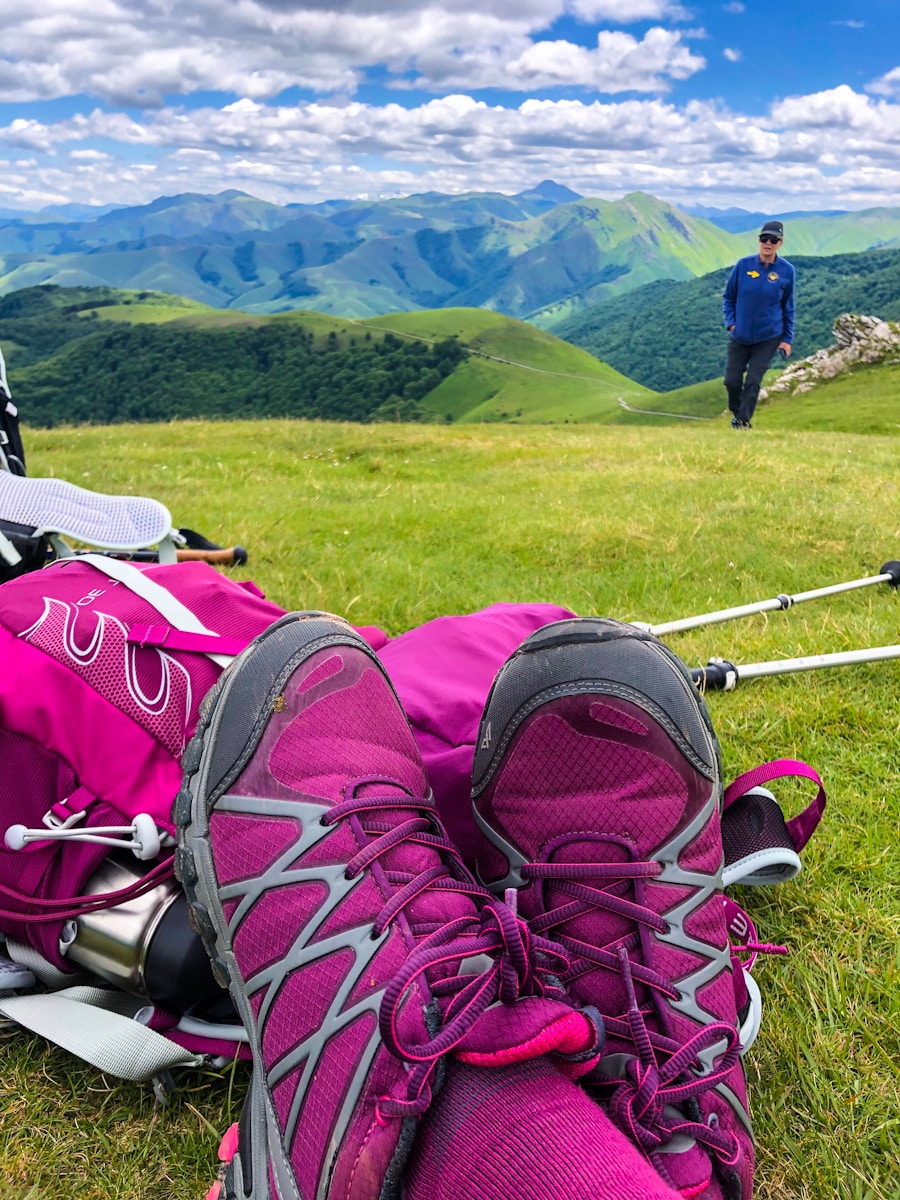 Photo "What are hiking poles for?"
