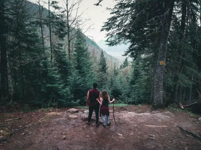 Photo "do hiking poles help"