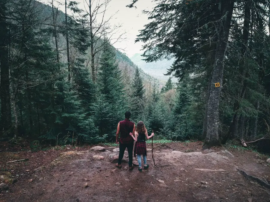 Photo "do hiking poles help"