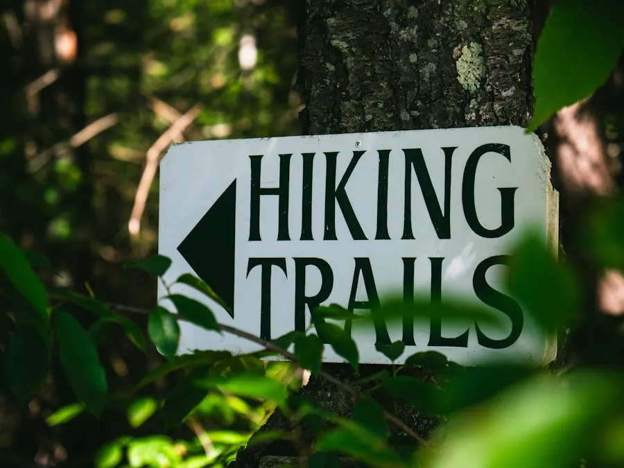Exploring the Great Outdoors: The Art of Hiking Photo What is the hiking?
