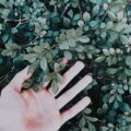 Photo "Why do hands swell while hiking?"