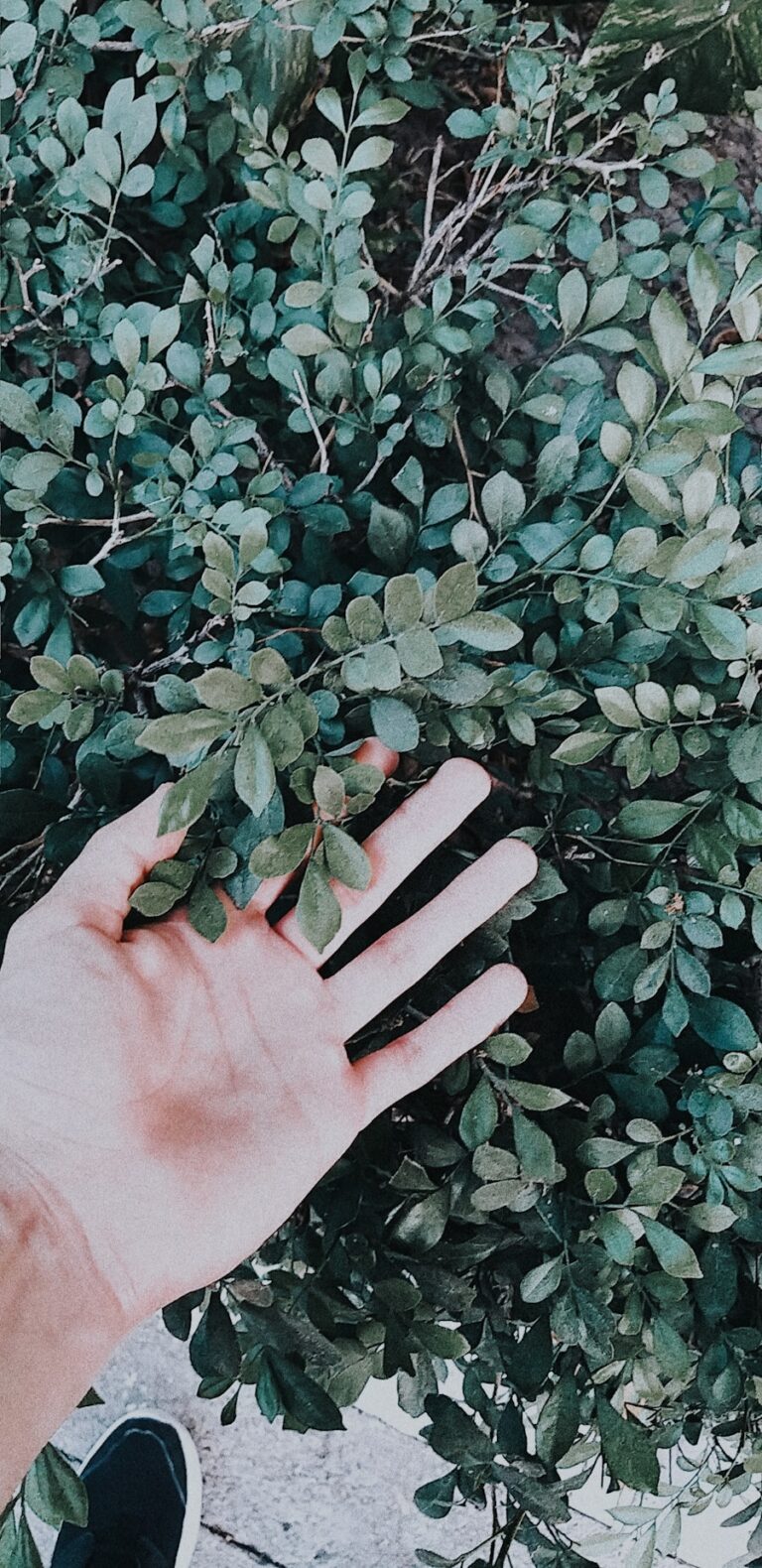 Photo "Why do hands swell while hiking?"