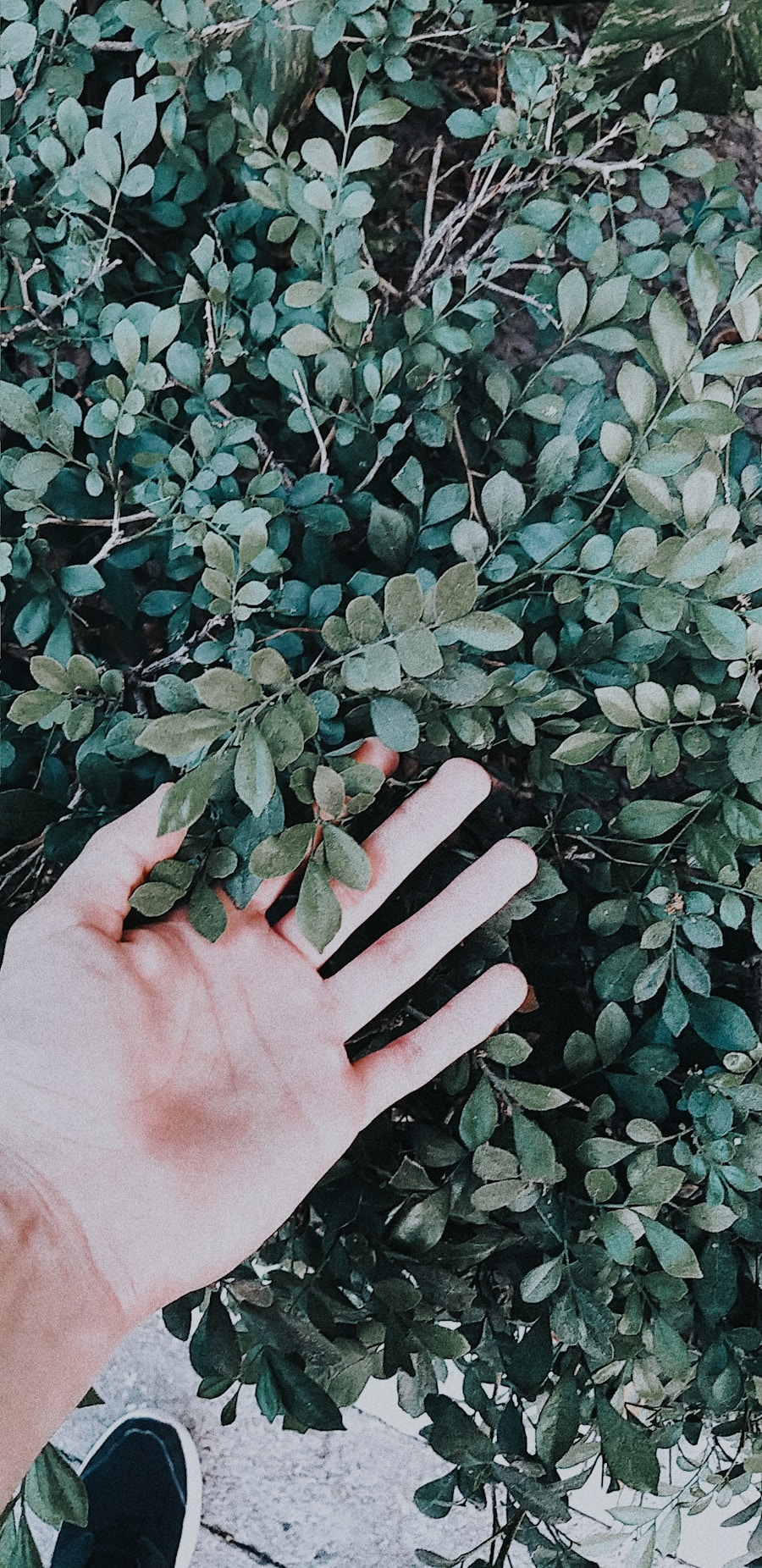 Photo "Why do hands swell while hiking?"