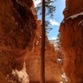 Photo "What length hiking pole do I need?"