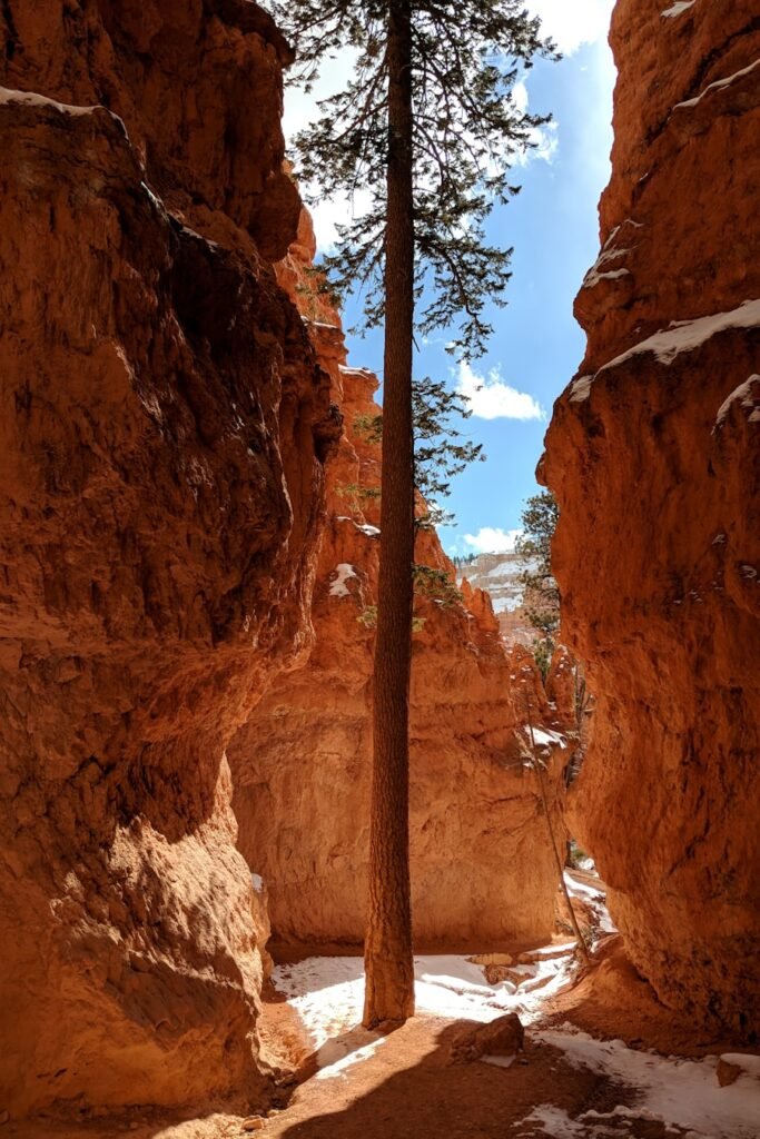 Photo "What length hiking pole do I need?"
