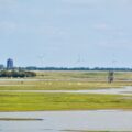 Photo Delta, United