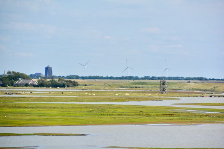Photo Delta, United