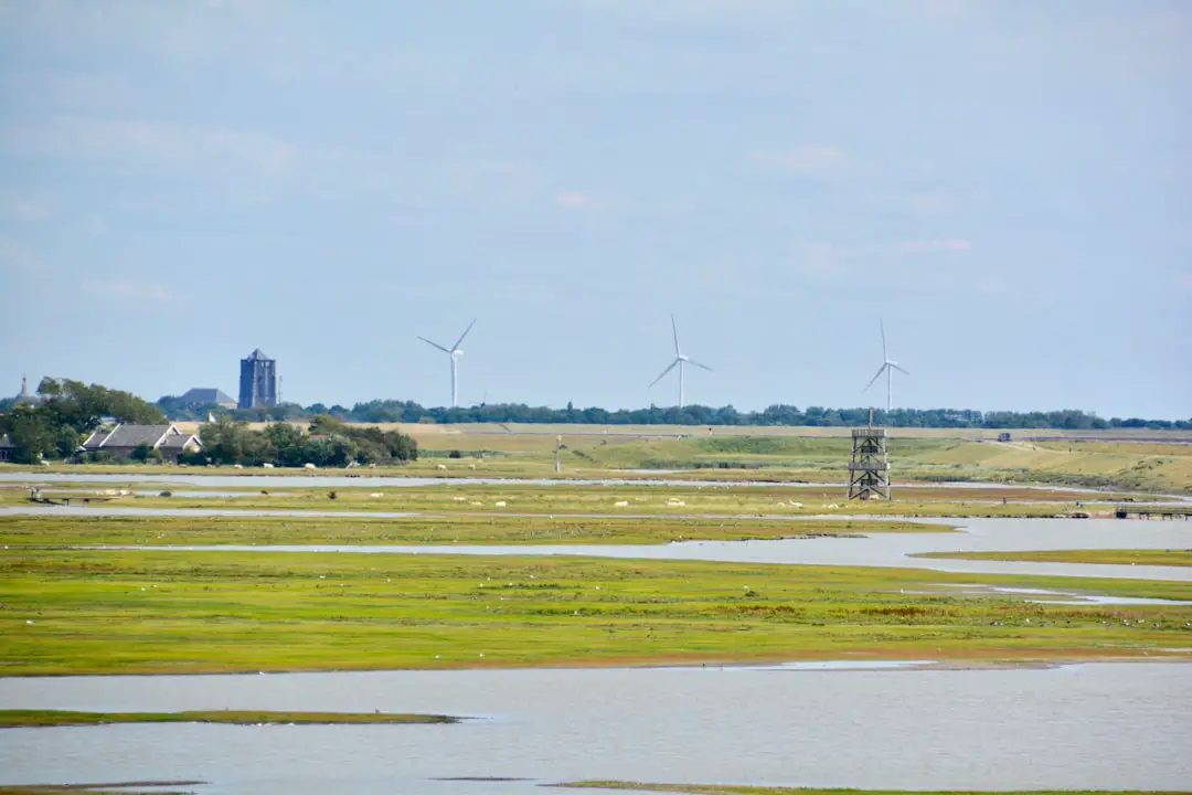 Photo Delta, United