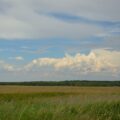 Photo Delta, Southwest