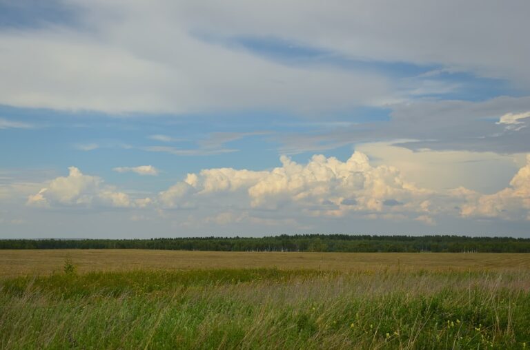 Photo Delta, Southwest