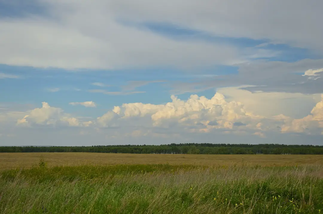 Photo Delta, Southwest