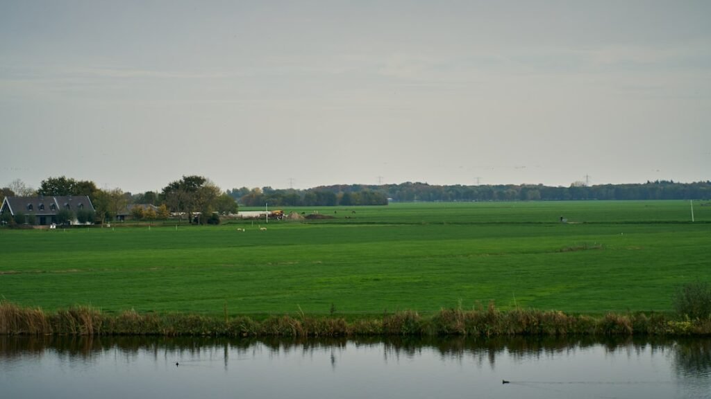 Photo Delta, Southwest