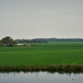 Photo Delta, Southwest