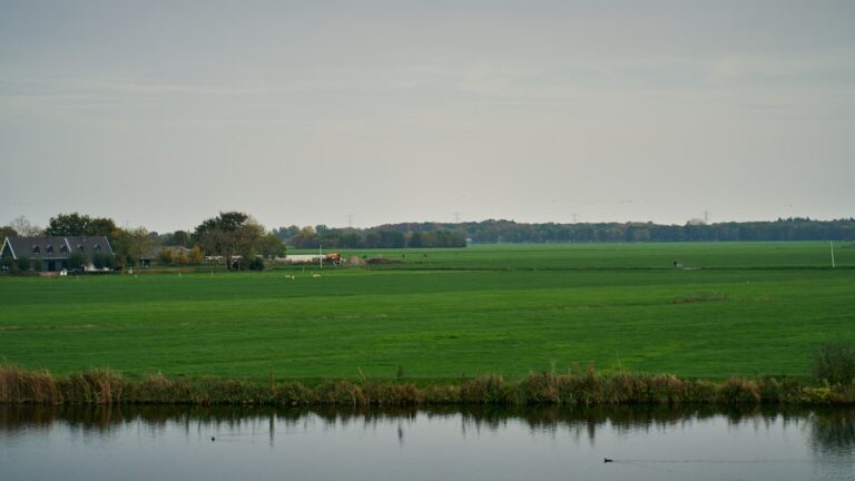 Photo Delta, Southwest