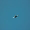 Photo Delta Airlines