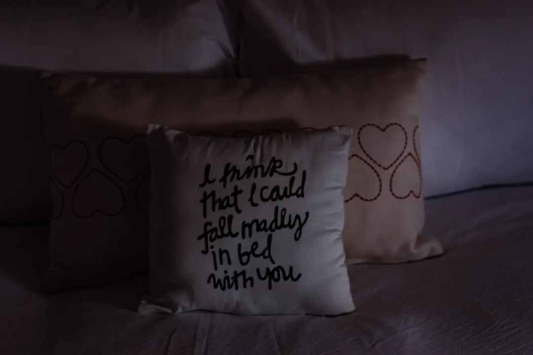 Photo Travel pillow