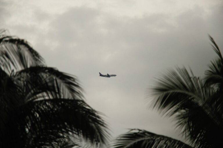 Photo Hawaiian Airlines