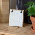Photo Calendar icon