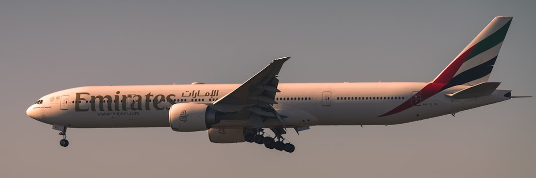 Photo Wingo Airlines