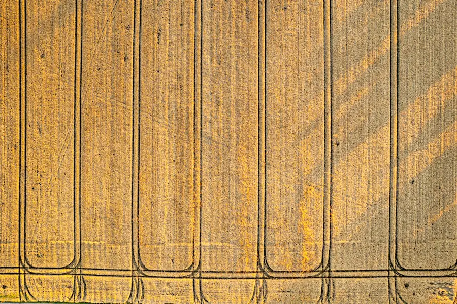 half board