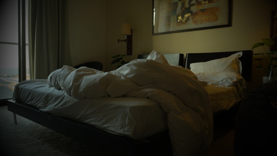 hotel bed bugs