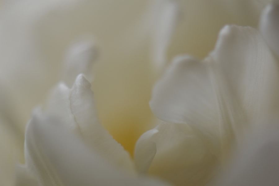 hotel White Lotus season 3