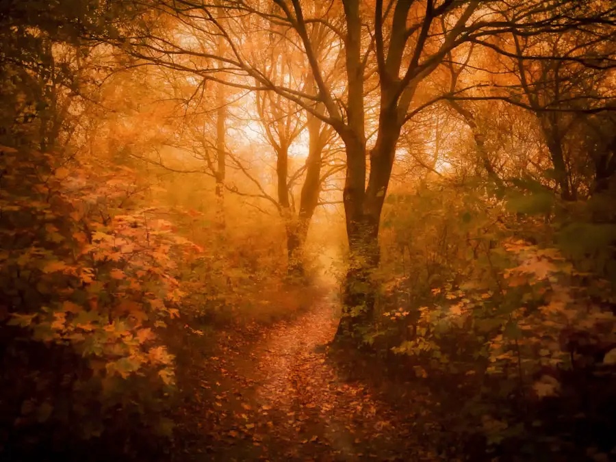 seasons