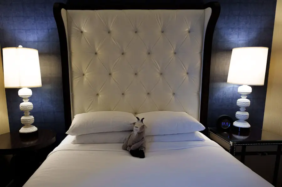 hotels, pet friendly