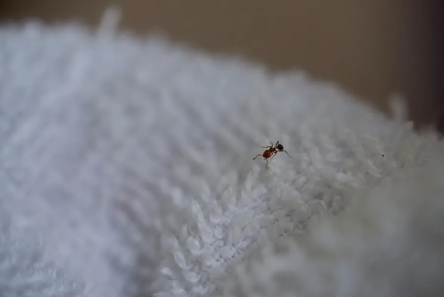 Spotting Bed Bugs in Hotels: A Guide Inspecting hotel mattress seams and bedding for signs of bed bugs