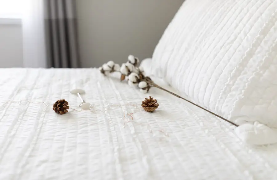 hotel bed bugs