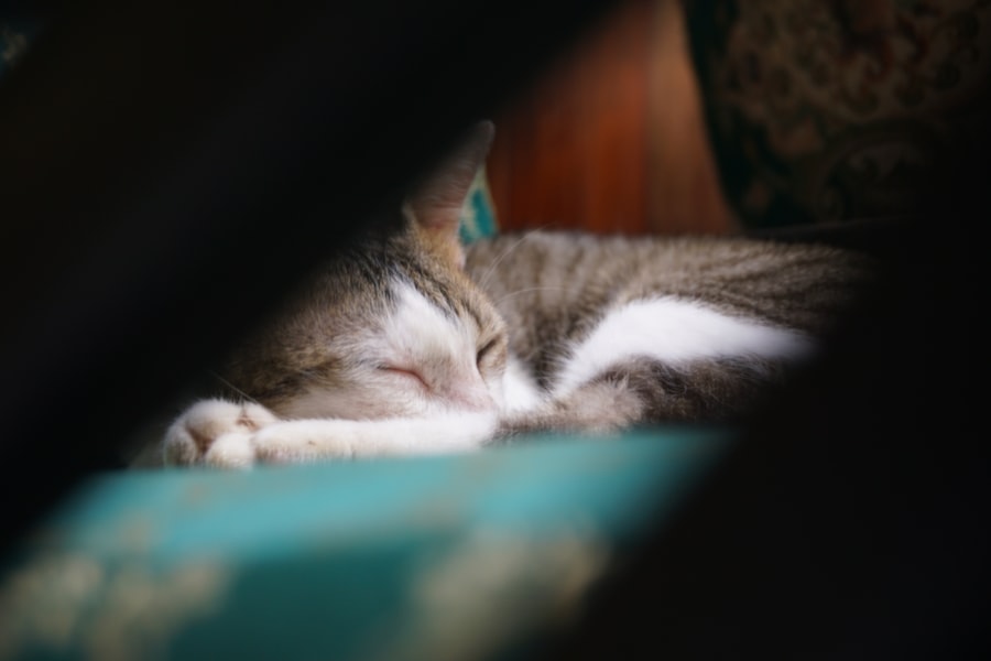 comfy