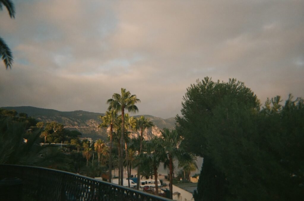 Photo hotel california song meaning