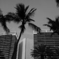 Photo Palms Hotel and Casino ownership