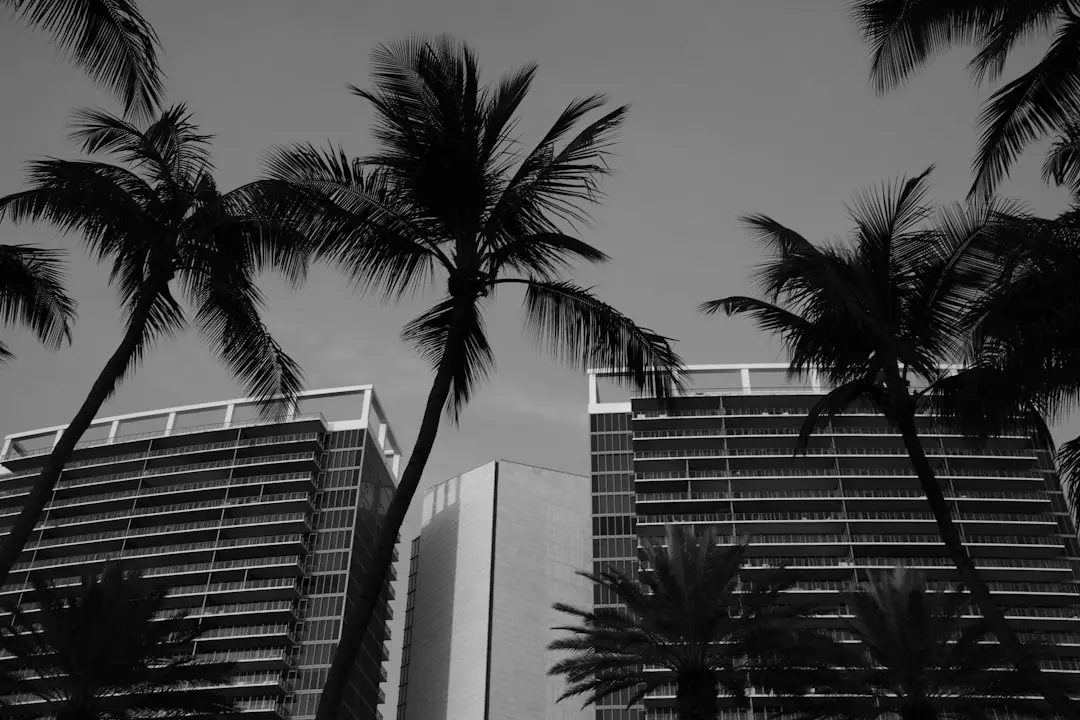 Photo Palms Hotel and Casino ownership